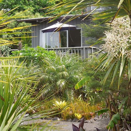 شقة Island Breeze Oneroa المظهر الخارجي الصورة